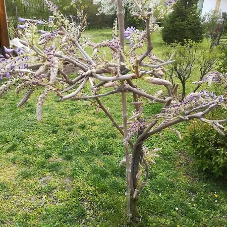 Apartamento Nádasház