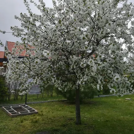 Nádasház Apartamento Gyenesdiás