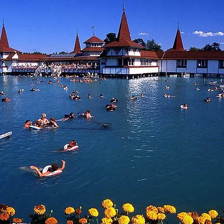 Nádasház