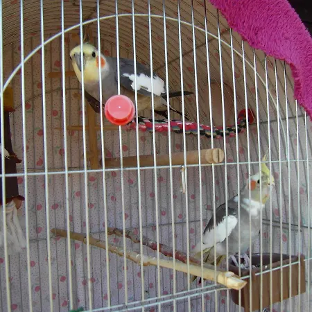Apartmán Nádasház Gyenesdiás